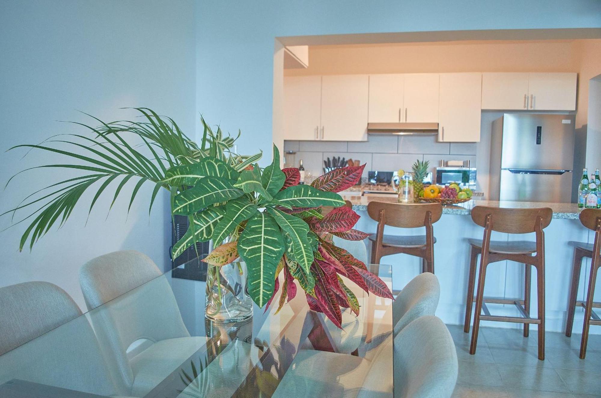 Estilo Y Confort, Ubicado En El Corazon De Bibijagua Apartamento *