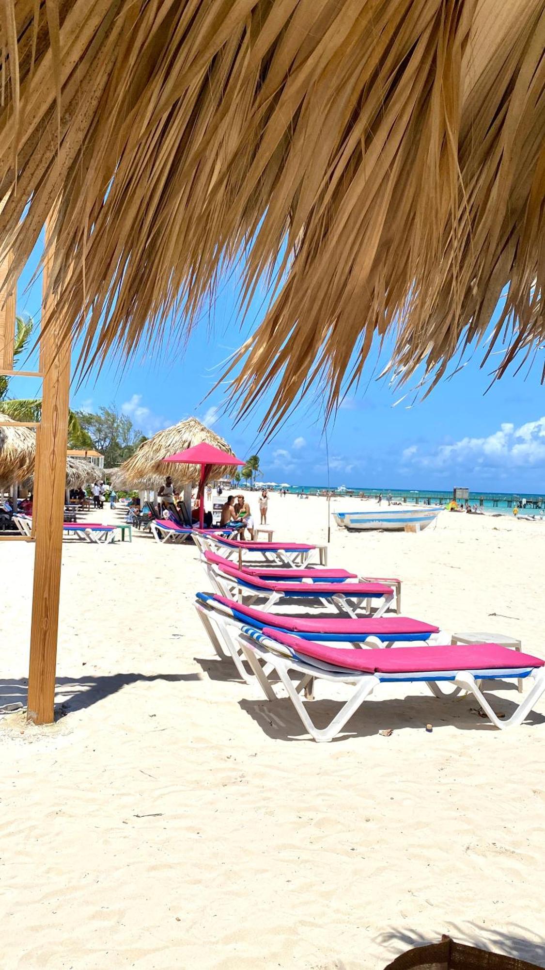 Your Crissere Tropical Dream Rd Apartamento *