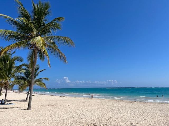Apartment Spacious 1 Bedroom In Sunny Paradise Punta Cana