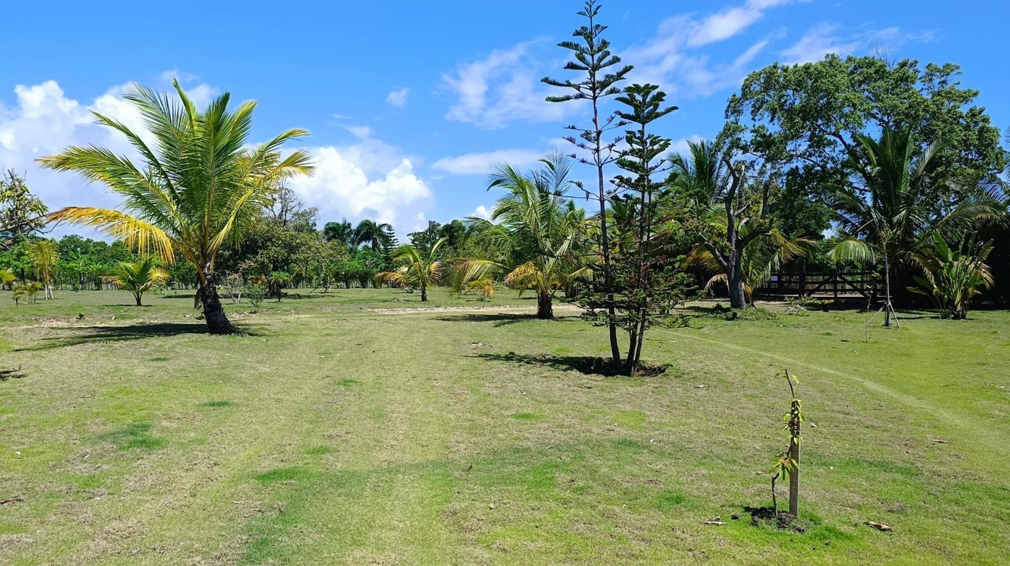 Eco Lodges Macao Beach Bavaro Punta Cana