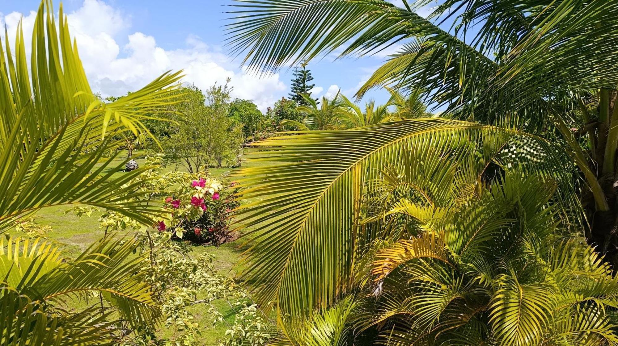 Lodge Eco Lodges Macao Beach Bavaro Punta Cana