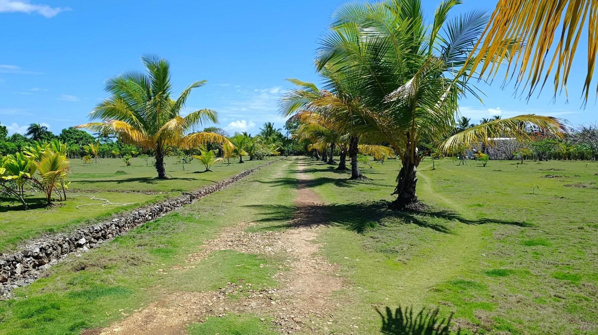 Eco Lodges Macao Beach Bavaro Punta Cana Lodge Punta Cana