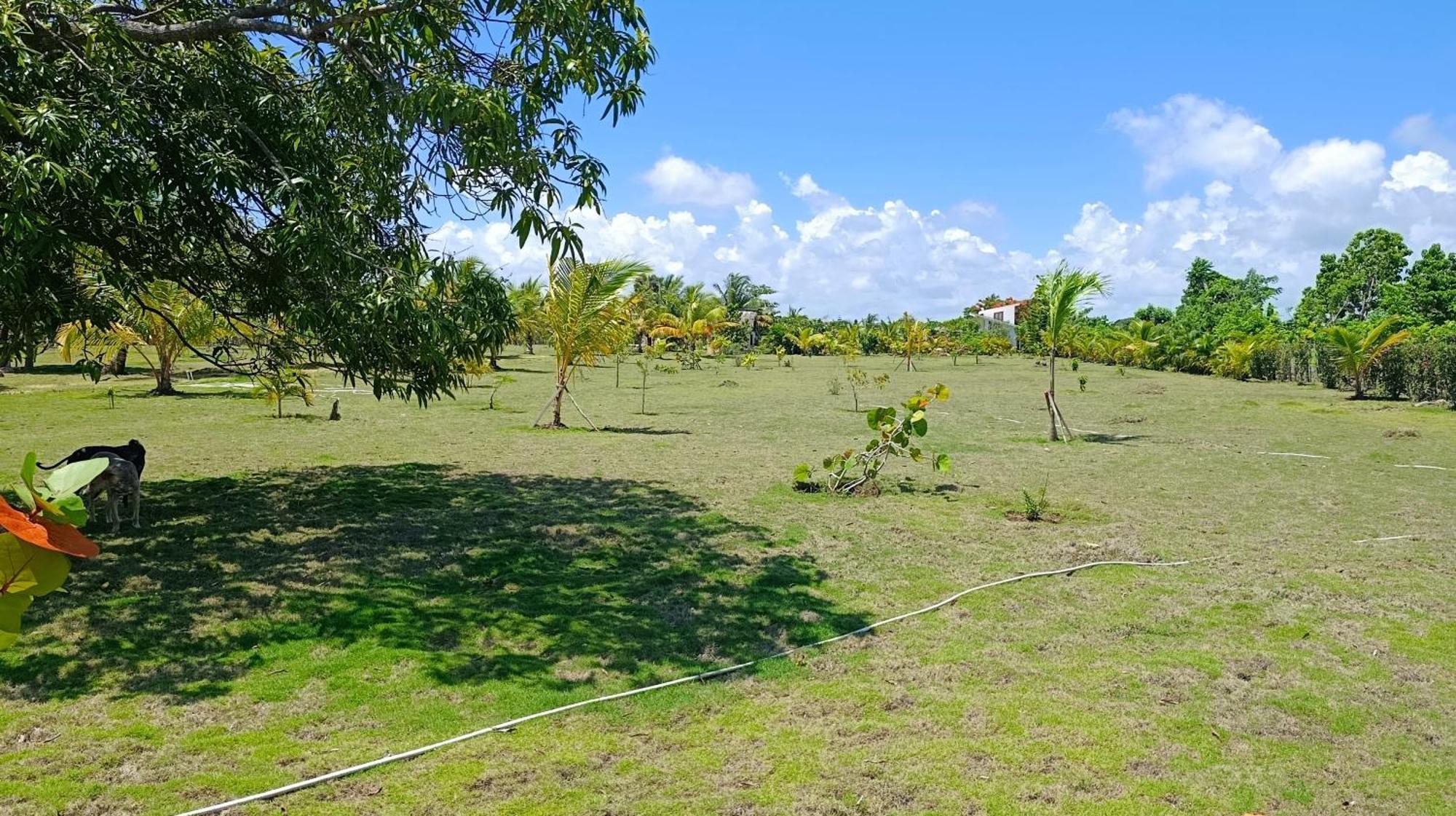 Eco Lodges Macao Beach Bavaro Punta Cana Punta Cana