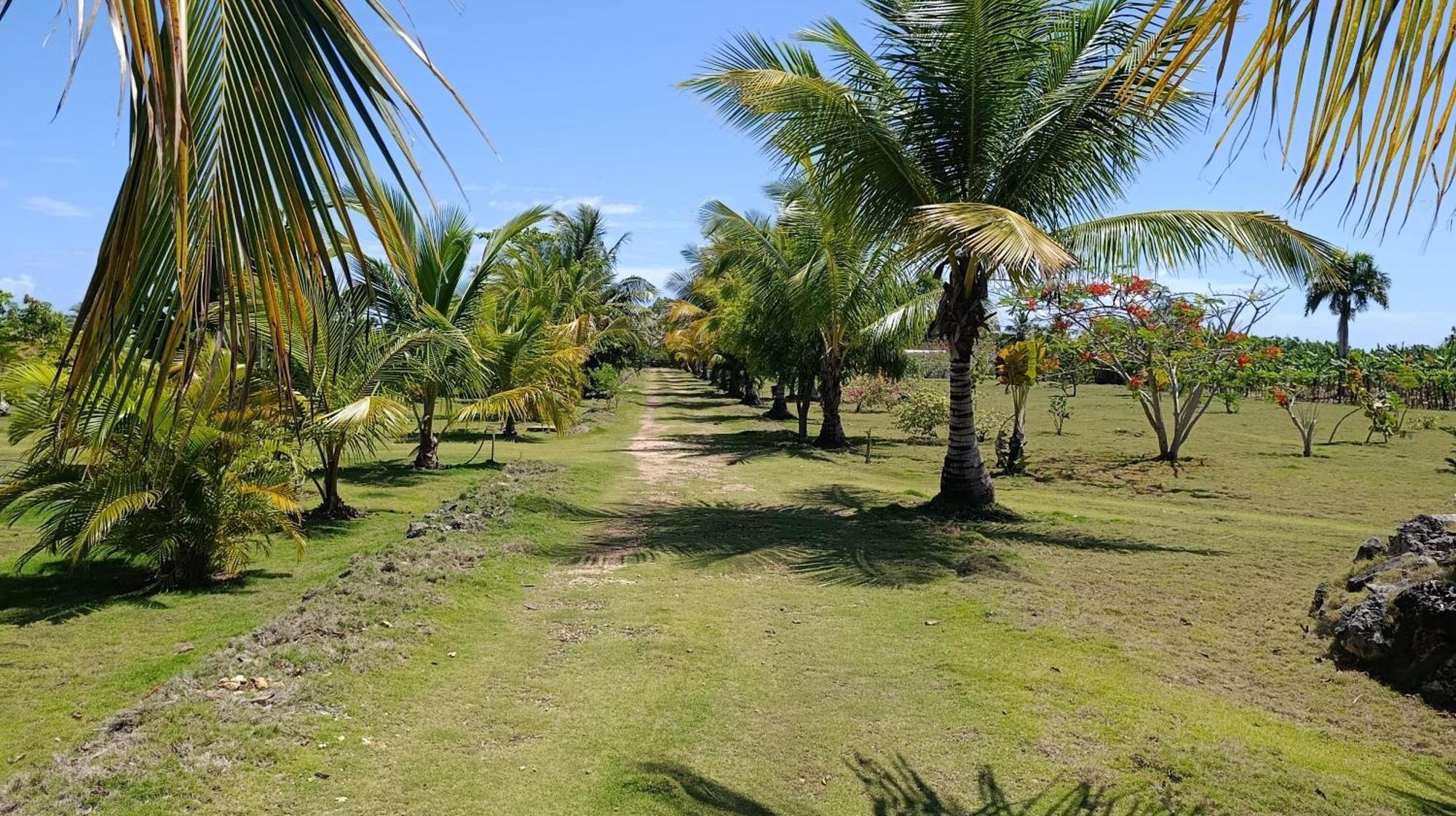 Eco Lodges Macao Beach Bavaro Punta Cana