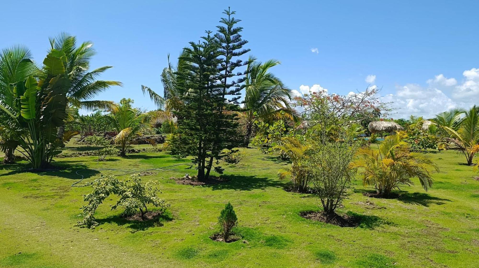 Eco Lodges Macao Beach Bavaro Punta Cana Lodge