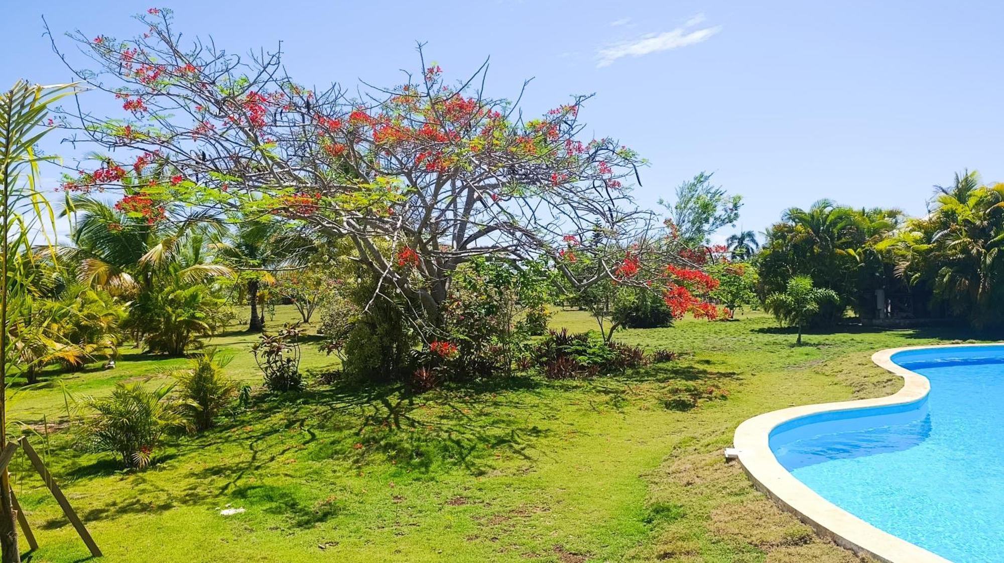 Lodge Eco Lodges Macao Beach Bavaro Punta Cana Punta Cana