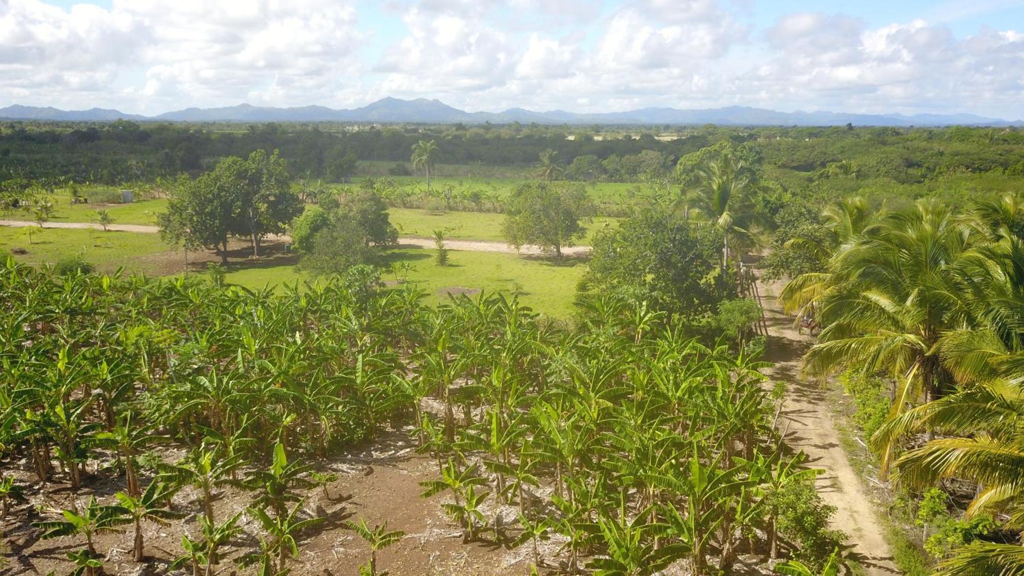Eco Lodges Macao Beach Bavaro Punta Cana *