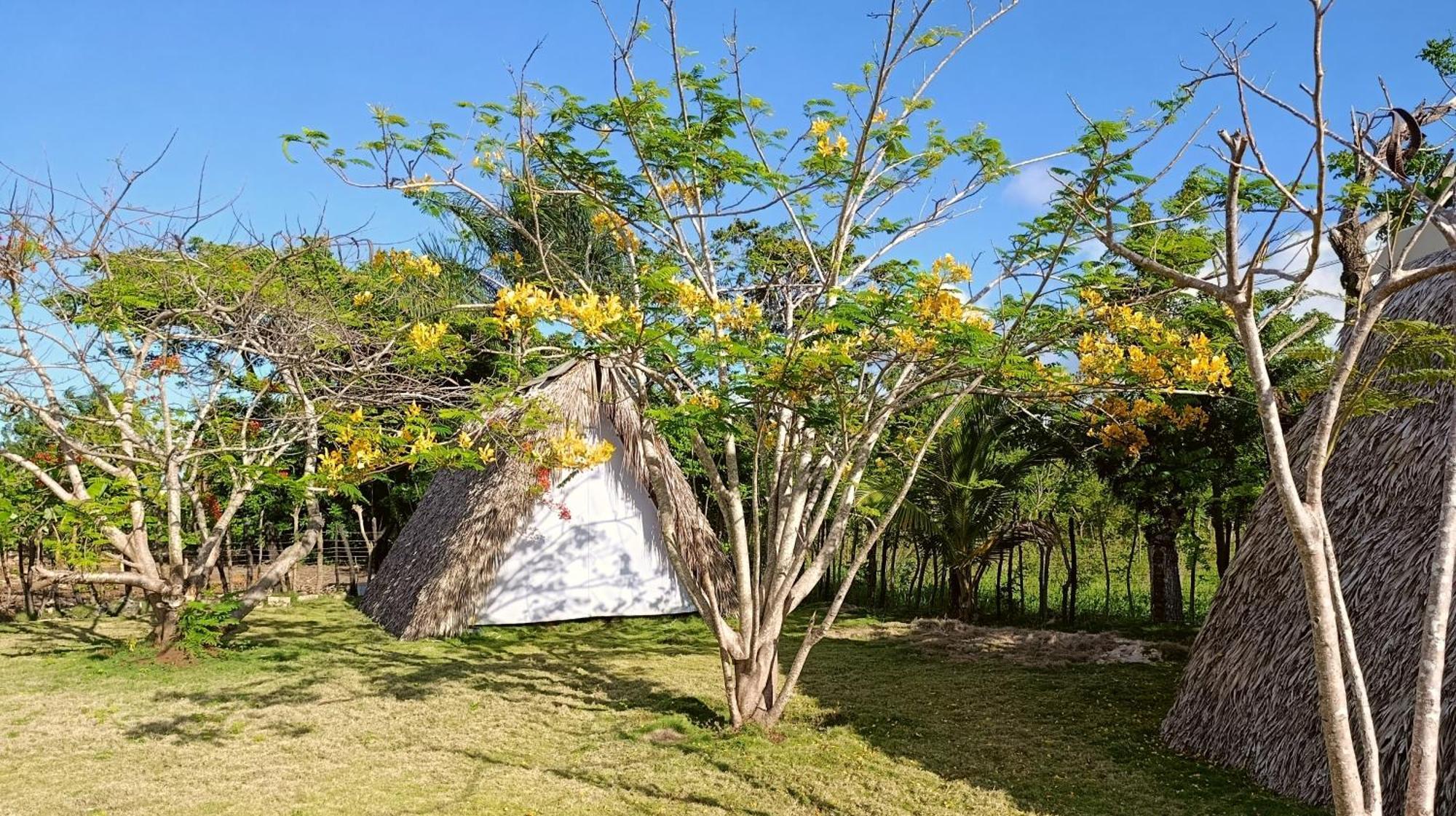Eco Lodges Macao Beach Bavaro Punta Cana Lodge