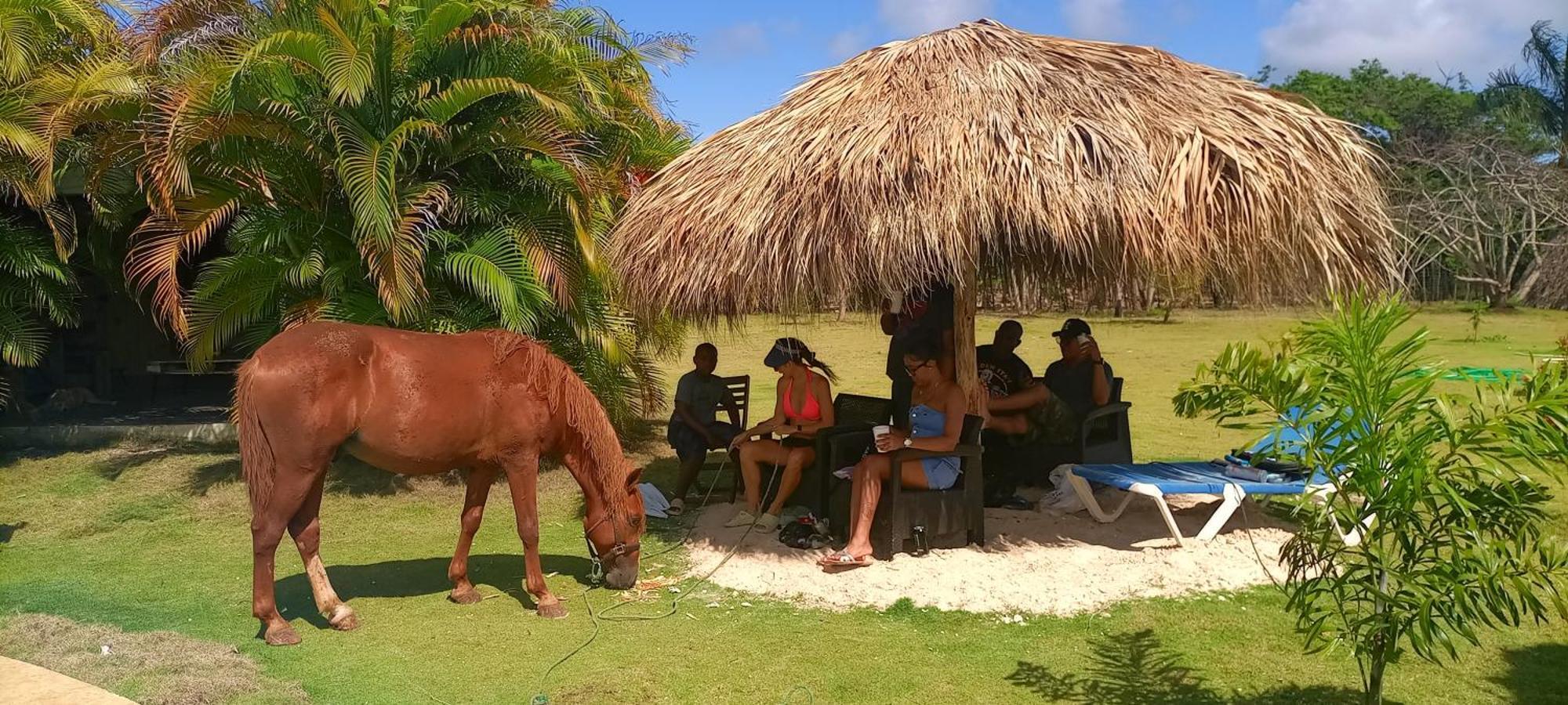 Eco Lodges Macao Beach Bavaro Punta Cana *