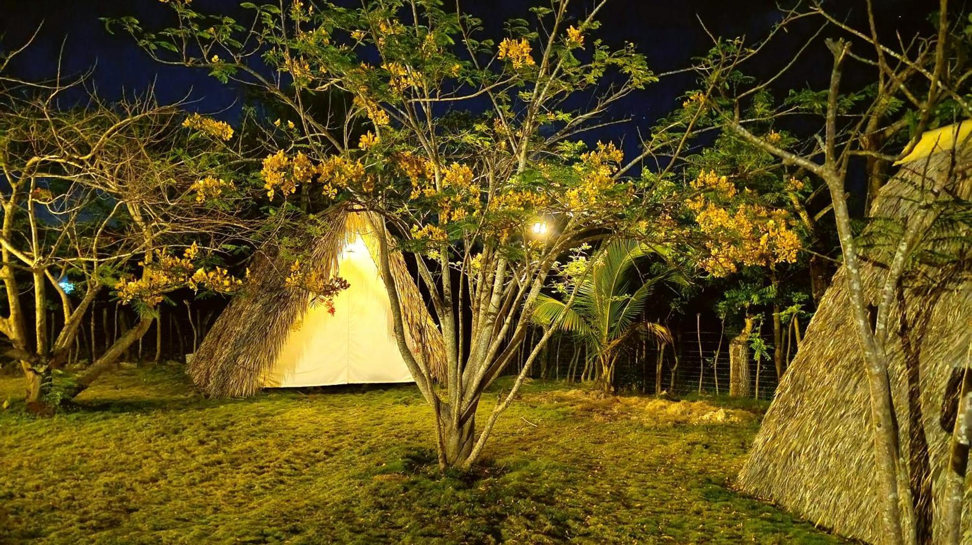Eco Lodges Macao Beach Bavaro Punta Cana Lodge Punta Cana