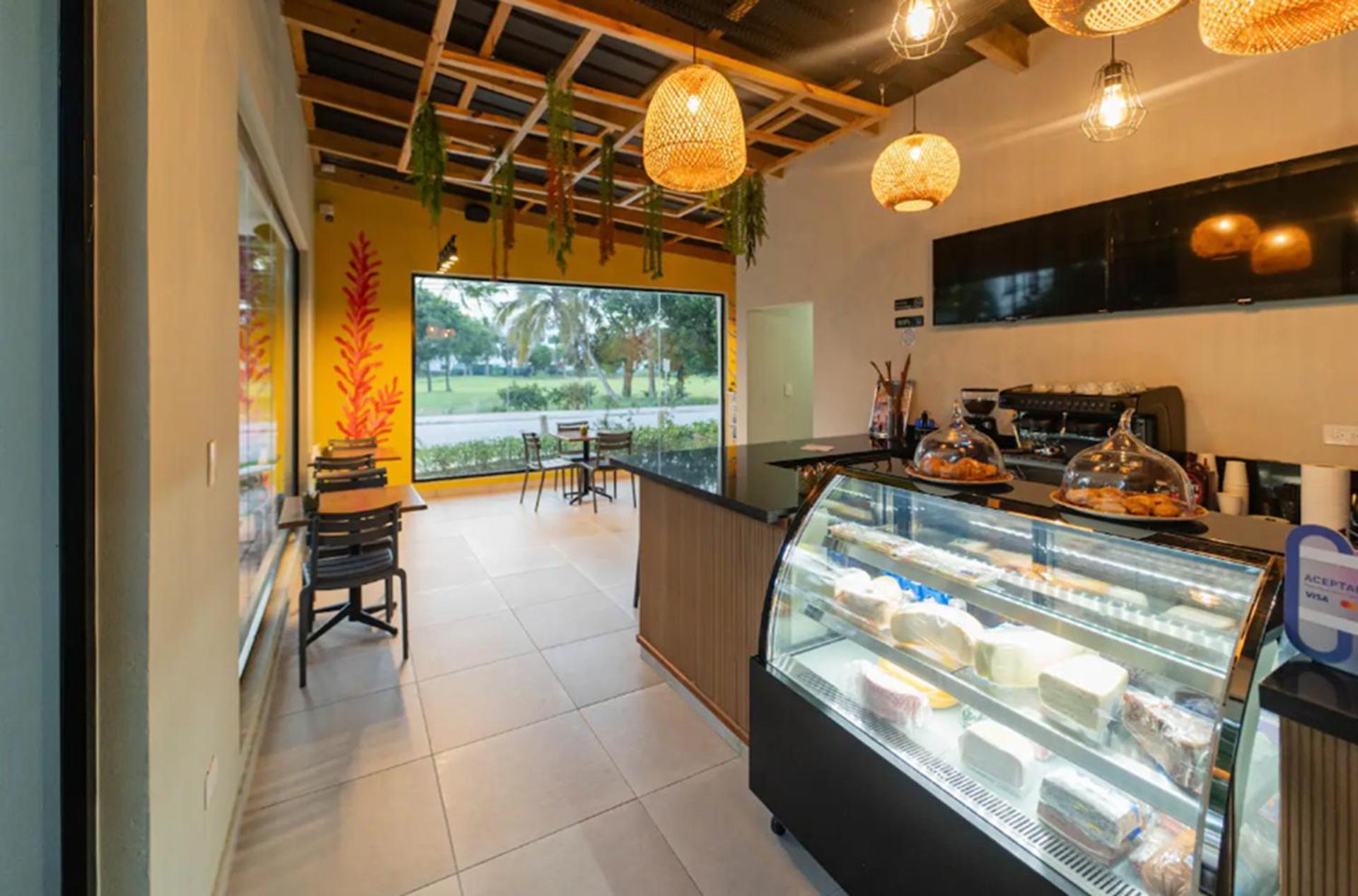 Penthouse Con Picuzzi Privado Y Barbacoa En Bavaro Apartment *