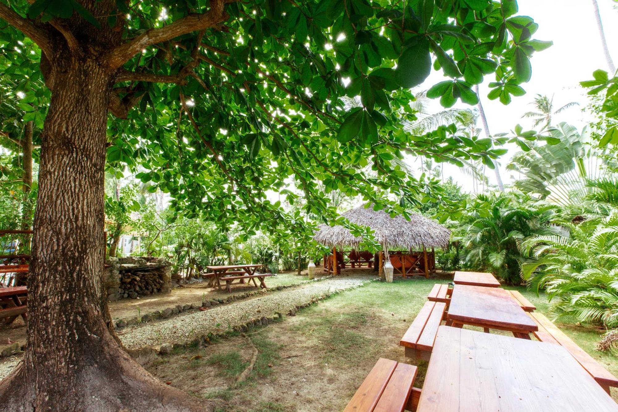 Aparthotel Serenara Studios And Suites - Los Corales Beach - Great Location With Many Restaurants