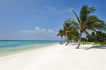 Tortuga Bay, * Punta Cana