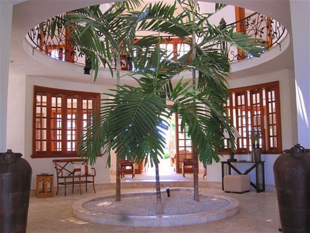 Tortuga Bay, * Punta Cana