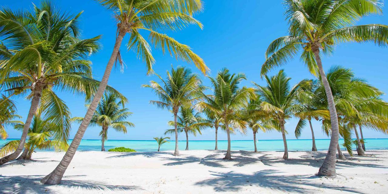 Best Adult Vacation In Apartamento