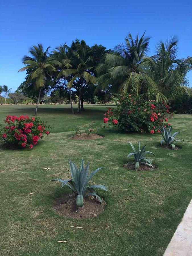 Cocotal Bavaro 460