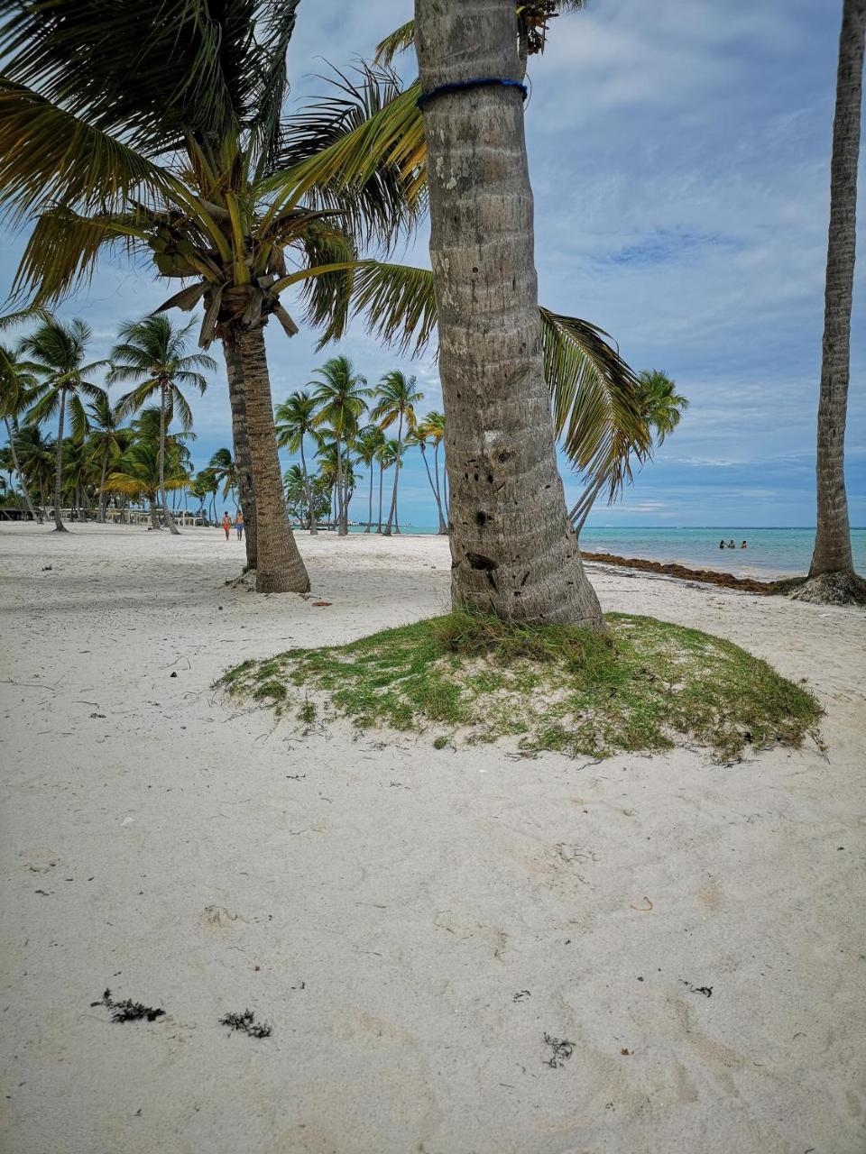 Mar Tropical Calle Marcio Veloz Maggiolo Apartamento Punta Cana