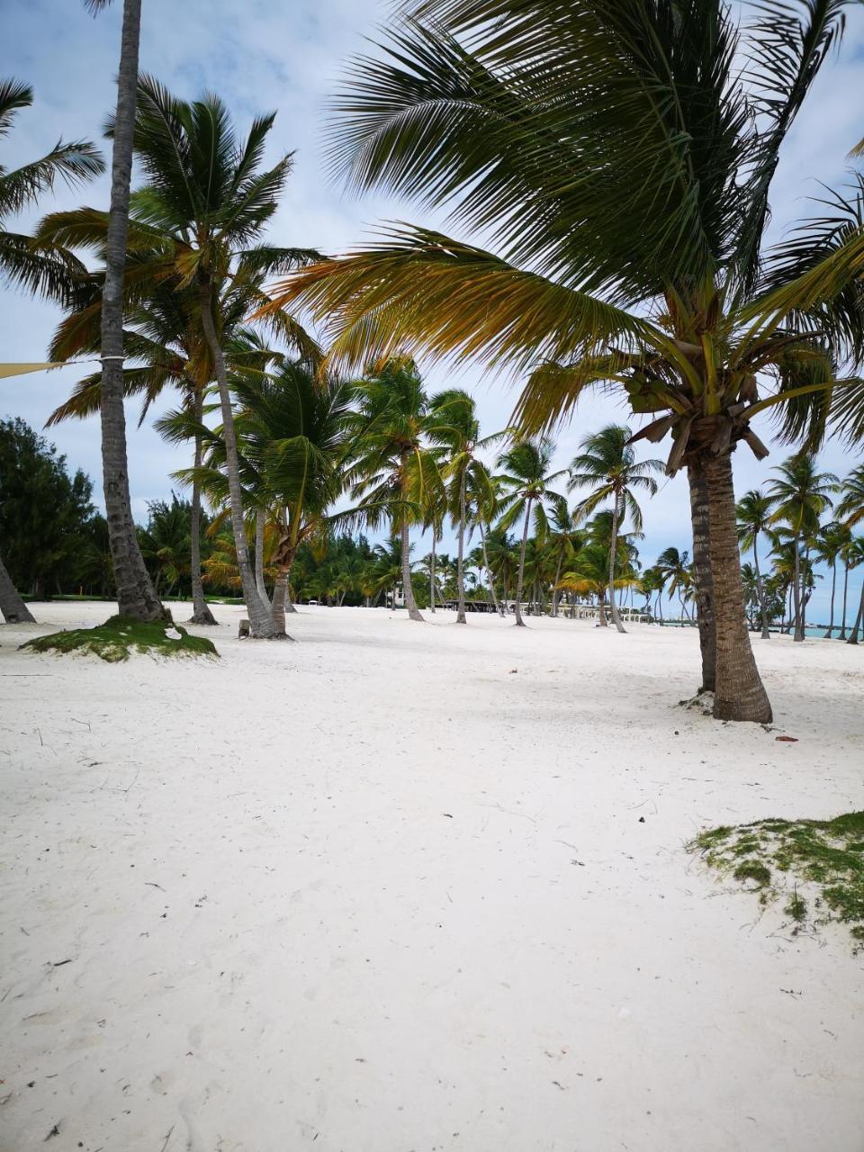 Apartamento Mar Tropical Calle Marcio Veloz Maggiolo *