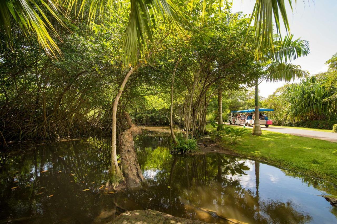 Resort Princess Family Club Bávaro