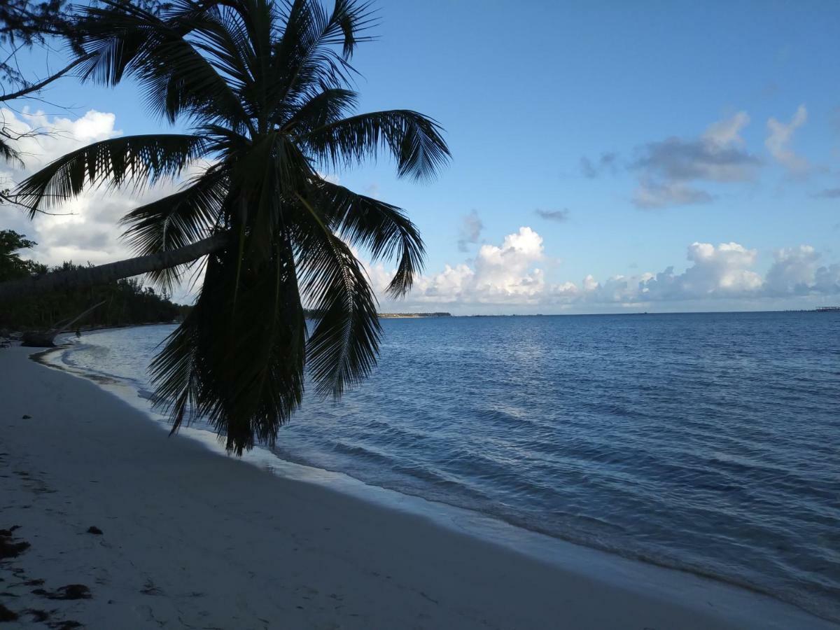 Mel Bavaro Beach, Share
