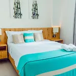 Stylish And Spacious Penthouse With Bbq And Picuzi