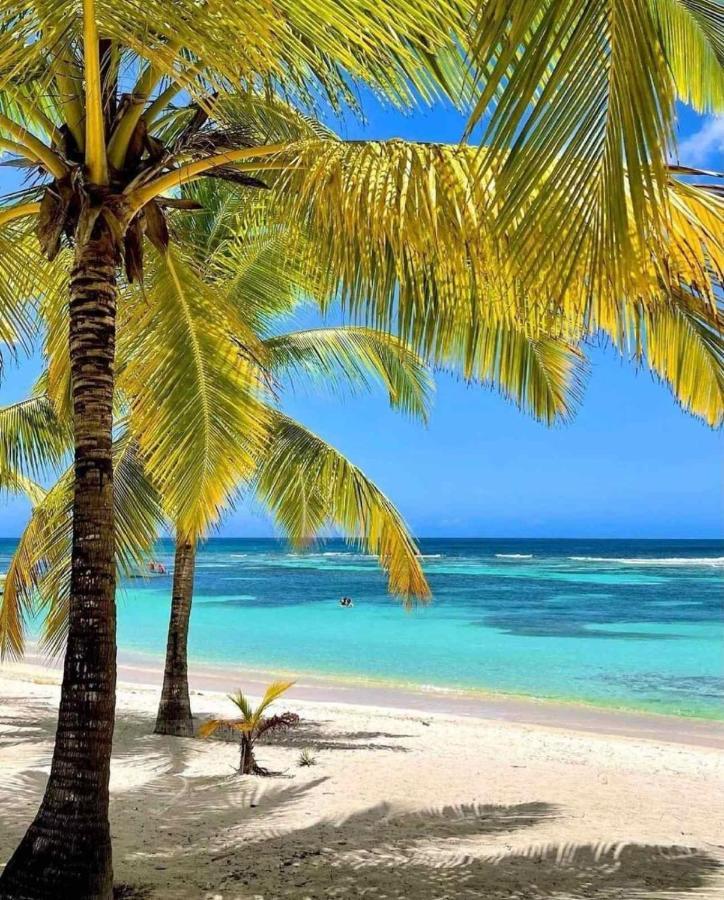 Caribe With Full Service Villa Punta Cana