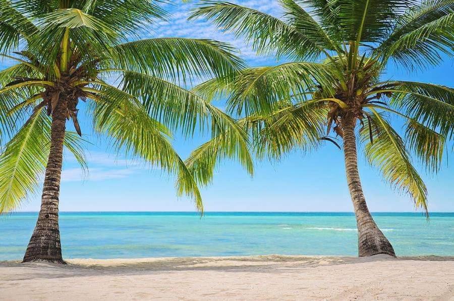 Caribe With Full Service Villa Punta Cana