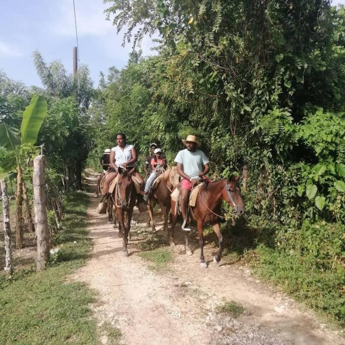 Сasa de vacaciones New!! Tropical Tiny Sanctuary-tiny Near *