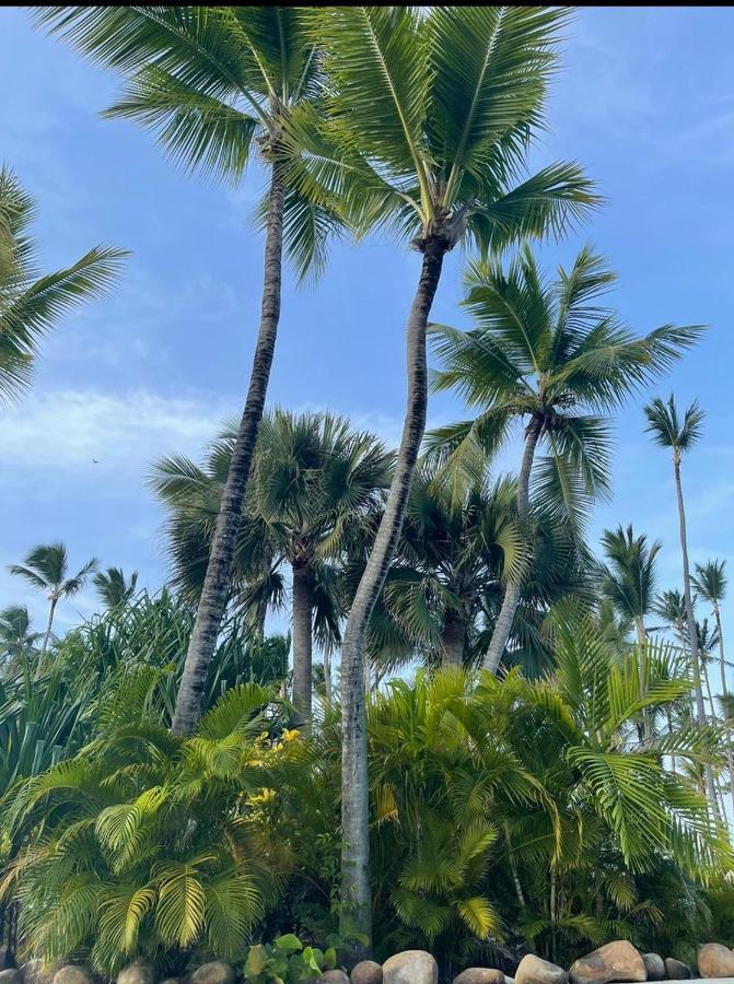 Yonah Comfort Punta Cana, Shared