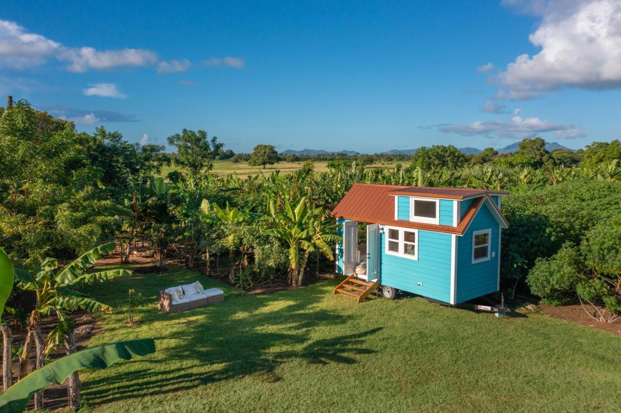 Сasa de vacaciones New!! Tropical Tiny Sanctuary-tiny Near *
