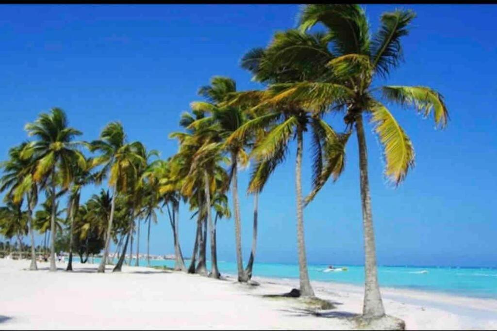 Espectacular En Tanama Cap Cana Apartamento *