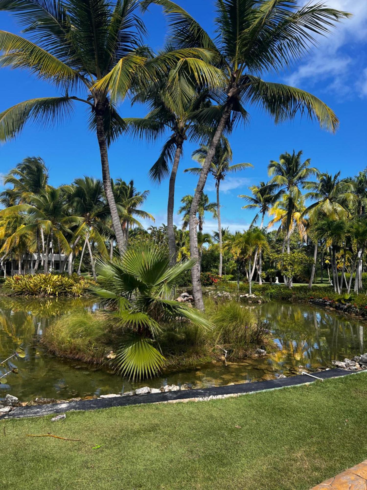 Cocotal Luxury On The Golf Course Apartamento Punta Cana