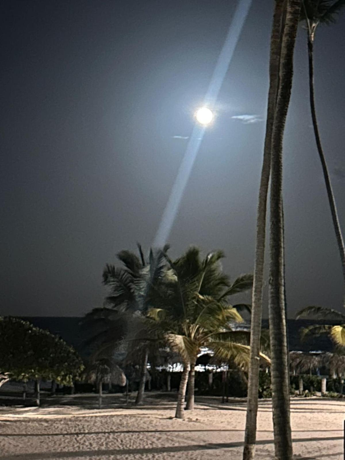 Stanza Mare B-201, Front Bavaro,,best View, Fully Equipped, Private Beach, 3-r 3-b, Bavaro, Apartamento *