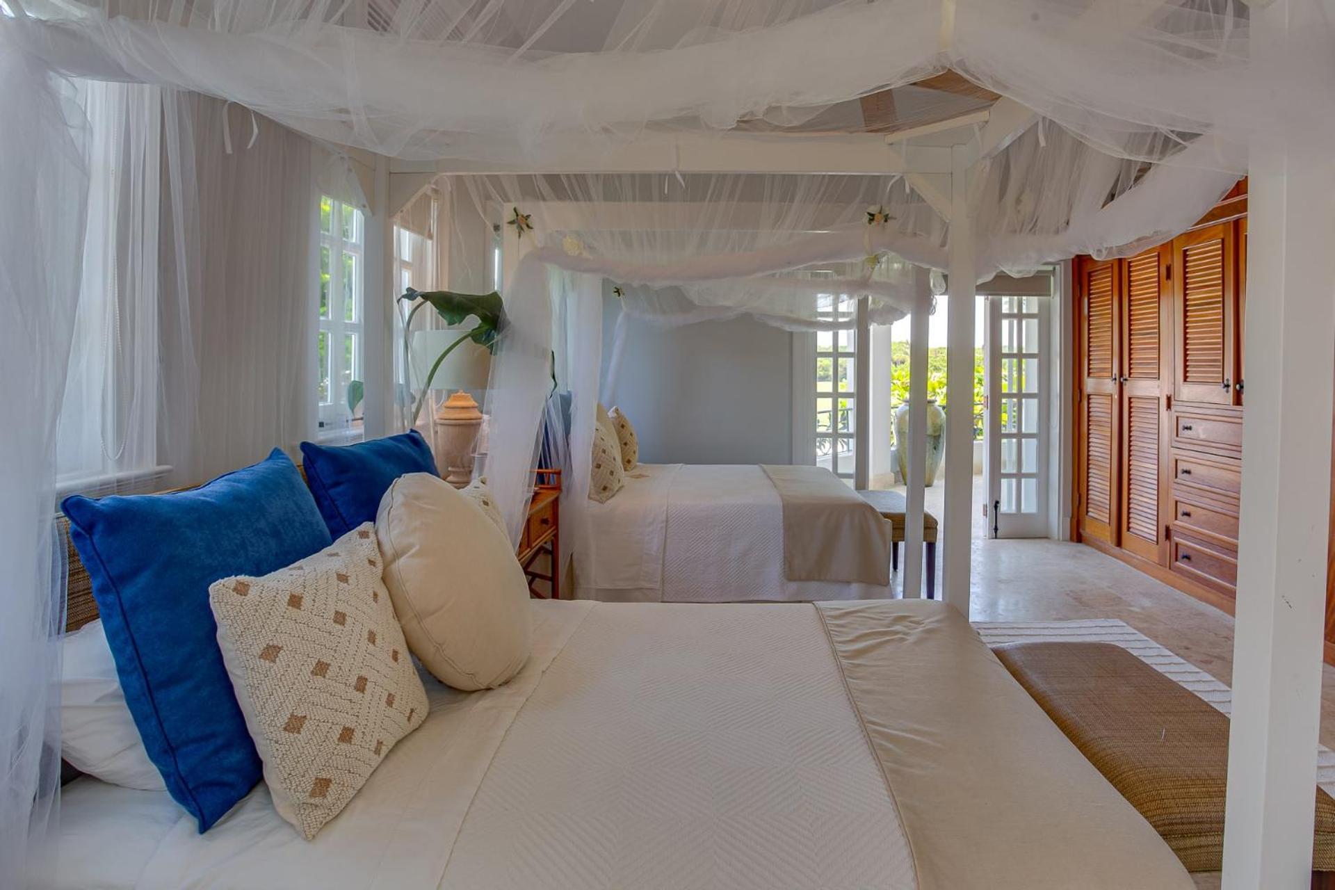 Tortuga Punta Cana