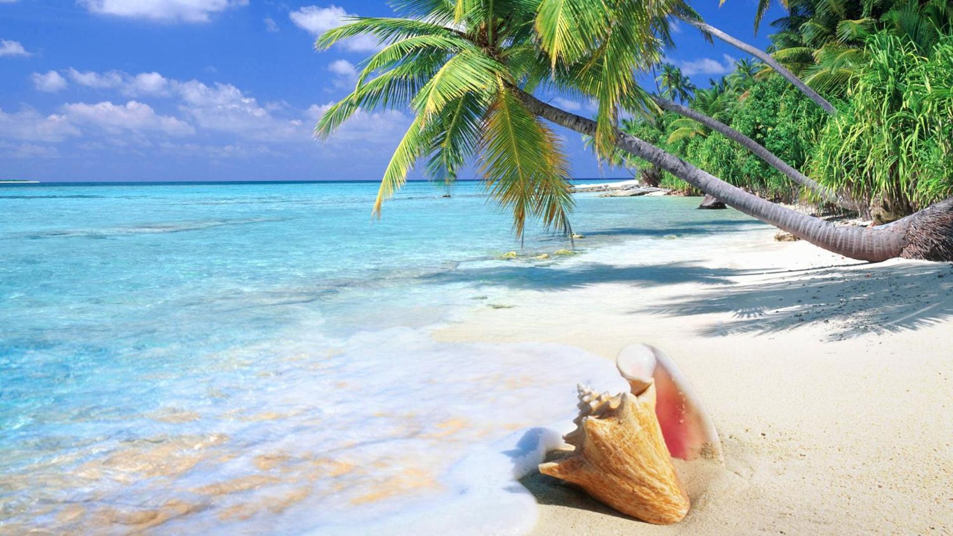 Coral Private Beach And Spa Apartamento *