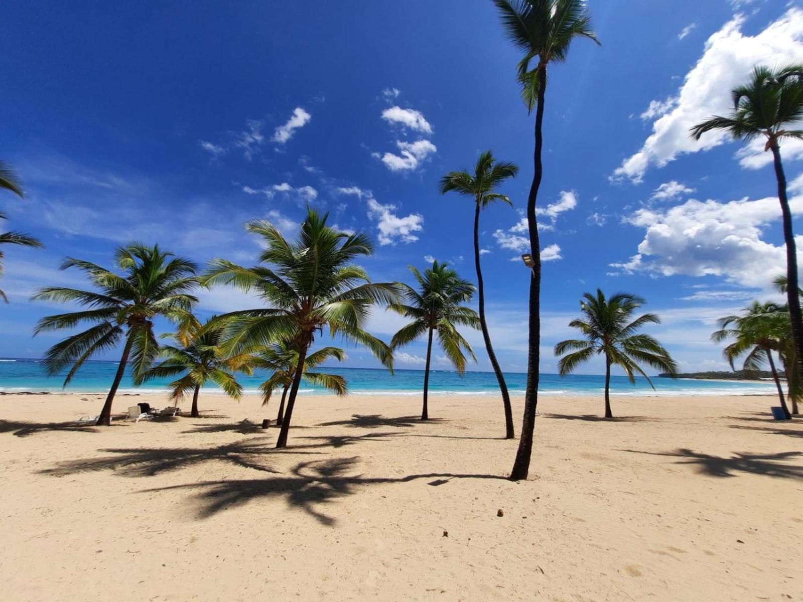 Apartamento Palms 104 - 2-br App Mit Pool-blick & Shuttle *