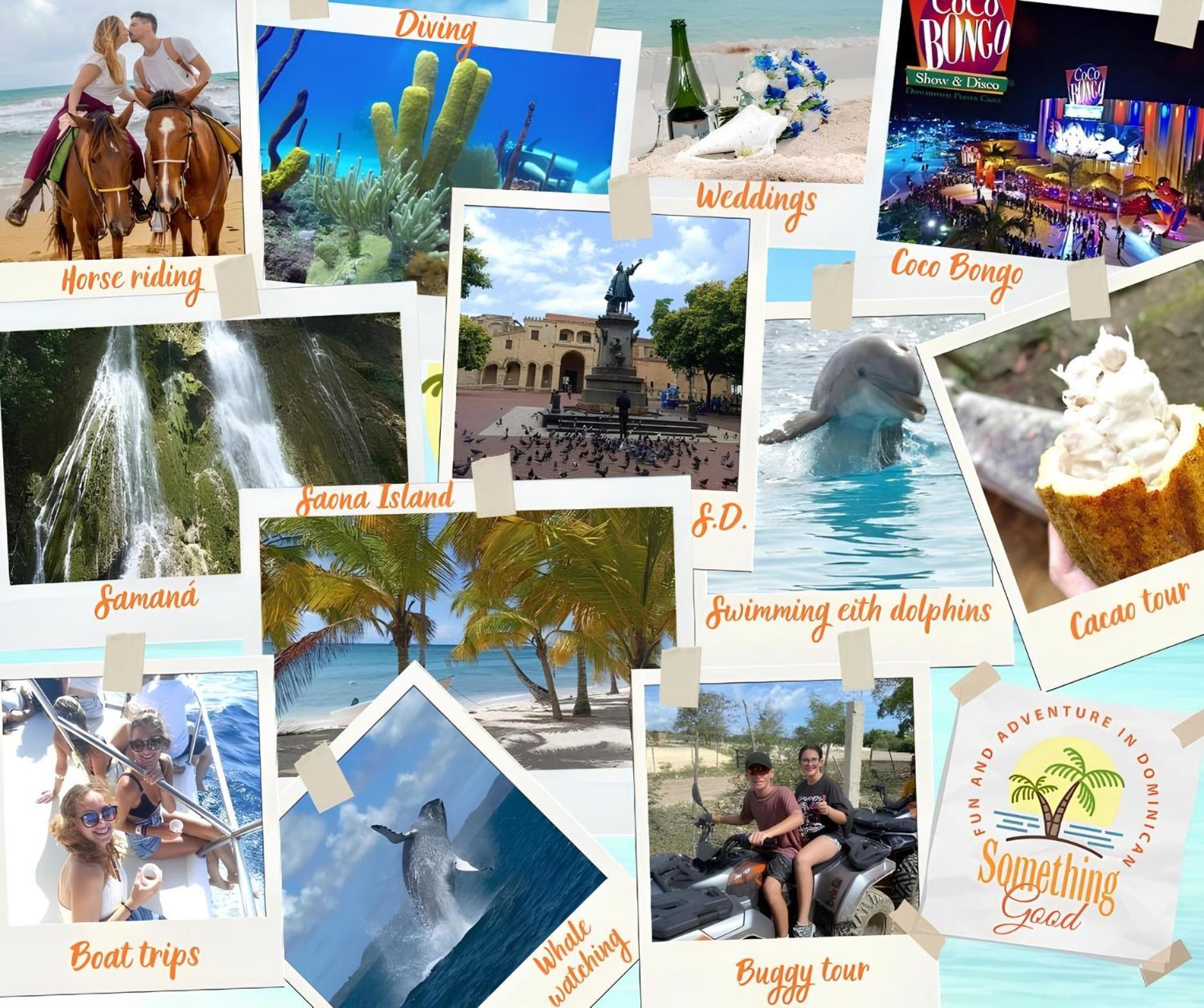 Apartamento Palms 104 - 2-br App Mit Pool-blick & Shuttle *