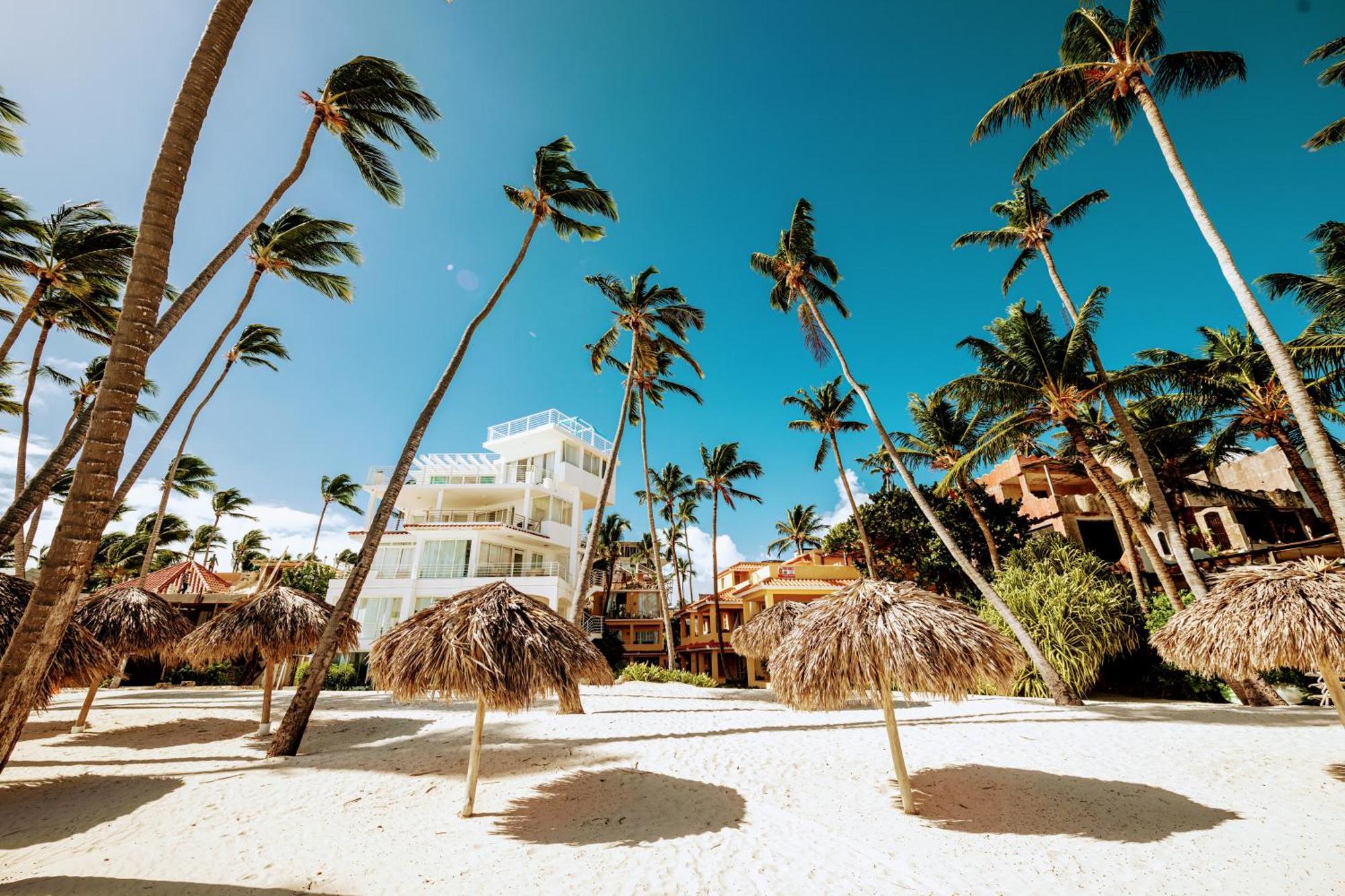 50 Steps To Private Poolside Rooftop Terrace Punta Cana