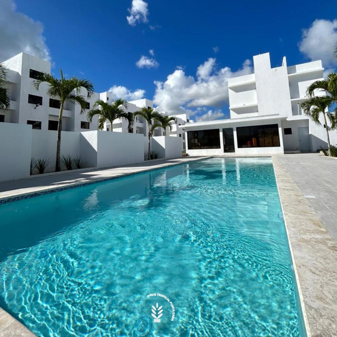 Oasis Tropical