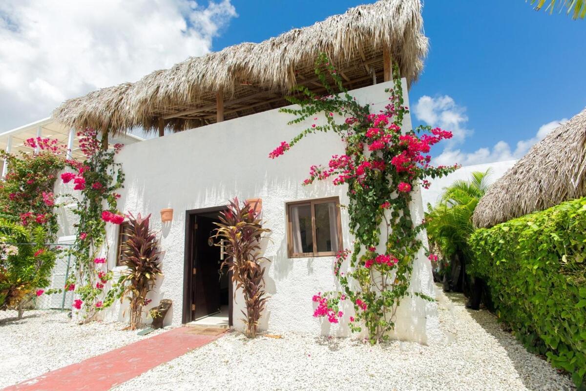 Retreat In Ibiza, Villa *
