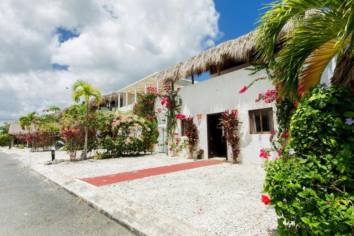 Retreat In Ibiza, Punta Cana