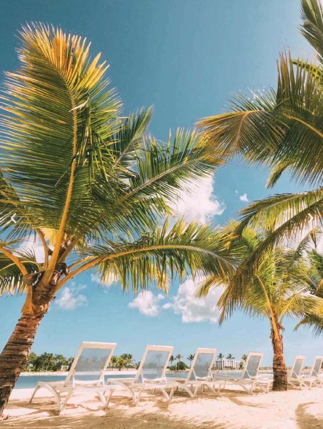 Apartamento Oasis - Pool, & Punta Cana