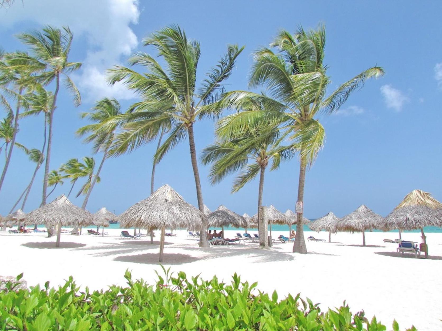 Caribbean Dеluxe With Rоoftop Pool And Access Apartamento
