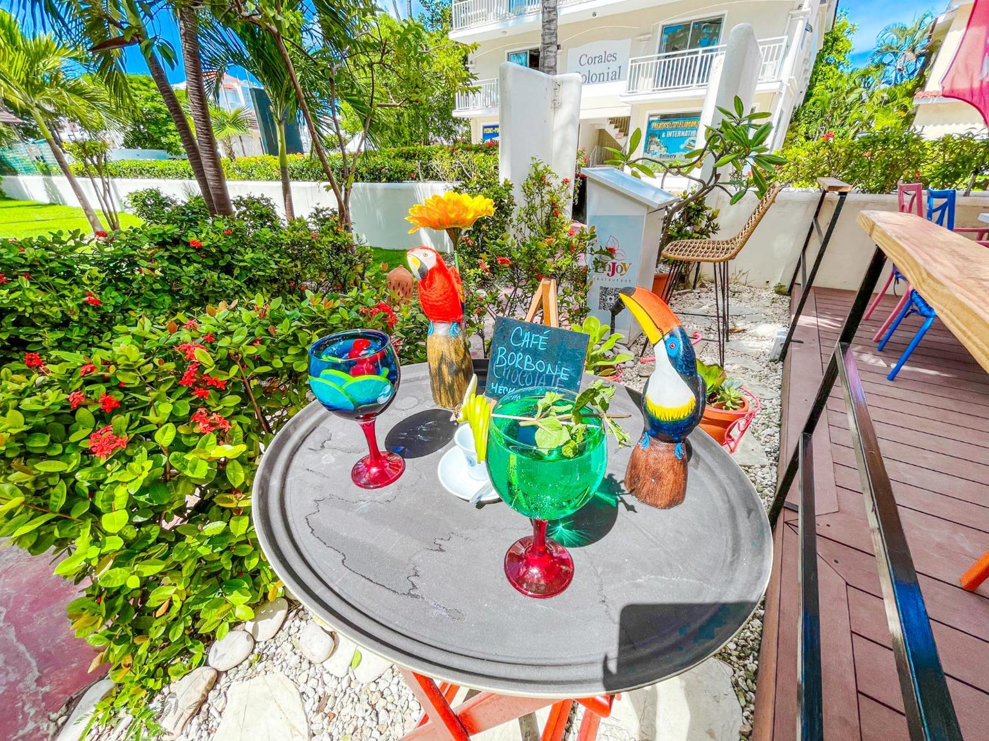 Tropical Fiesta Pool Near Bavaro Club & Hotel Punta Cana