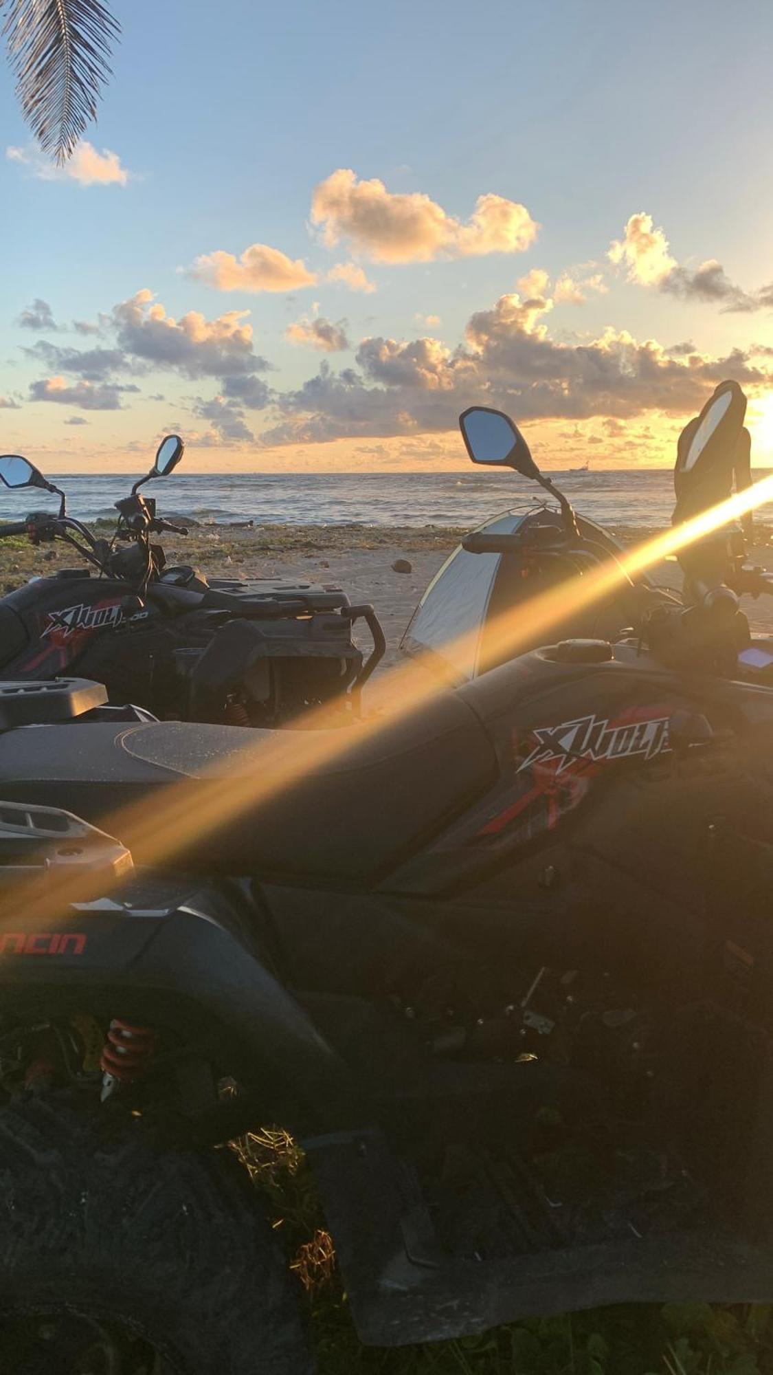 Atv In *