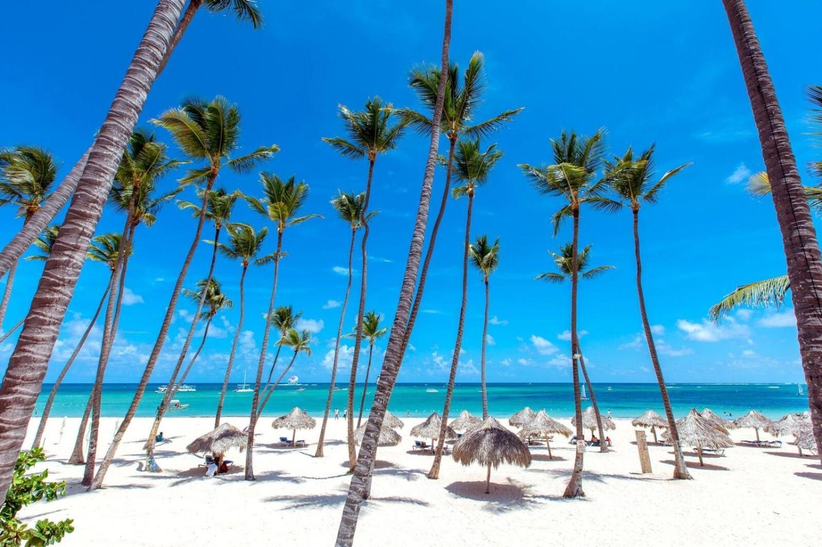 Dream Island & Ocean View Pool Playa Corales Apartahotel