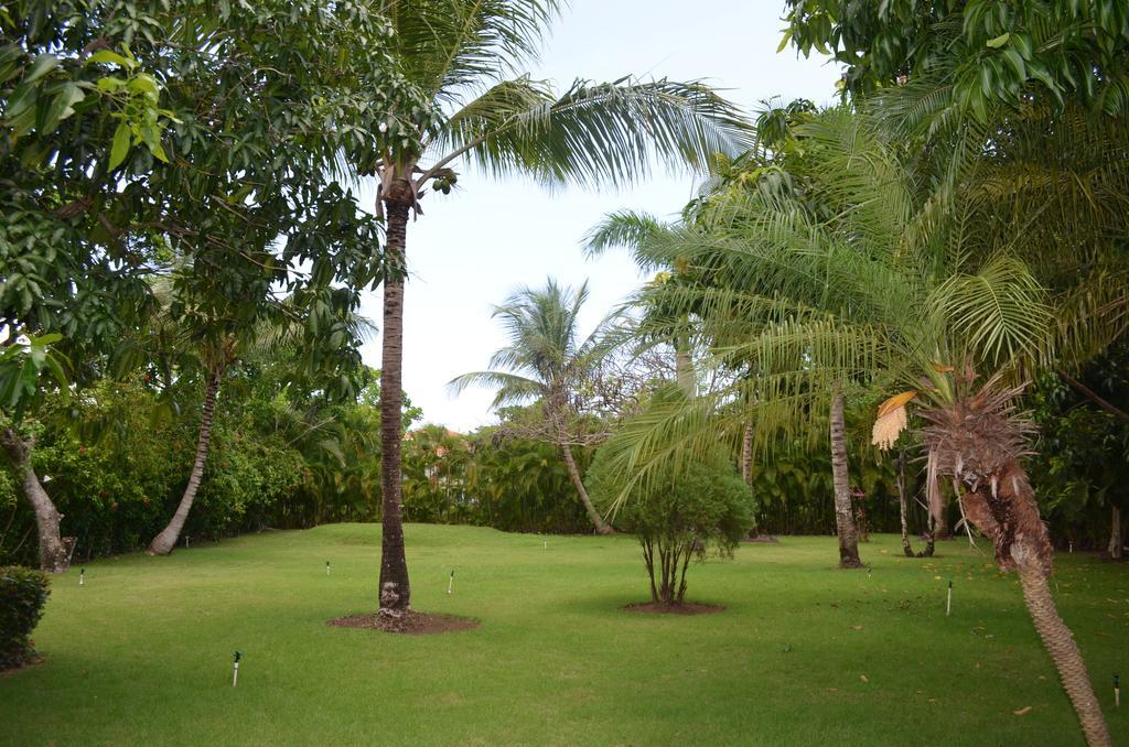 Cueva Villa *