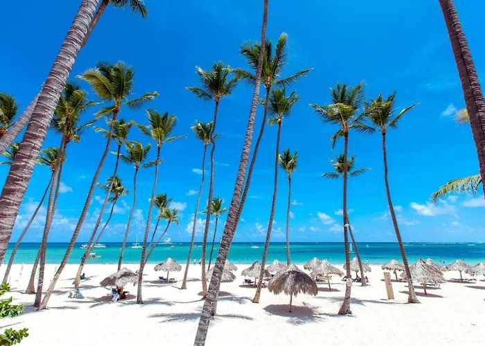 Dream Island Villas & Apartments Ocean View Pool Playa Los Corales