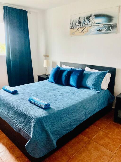 Life, The Place You've Been Looking For. Apartamento