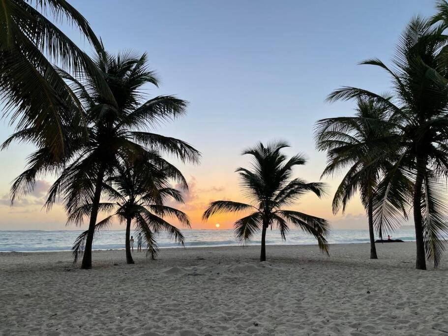Life, The Place You've Been Looking For. Punta Cana
